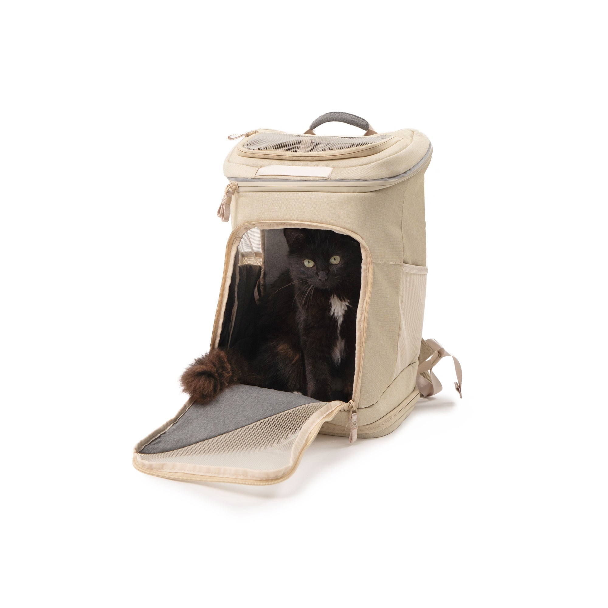 HOP-ON Katzenrucksack in Sand, schwarzes Kätzchen schaut aus der Öffnung
