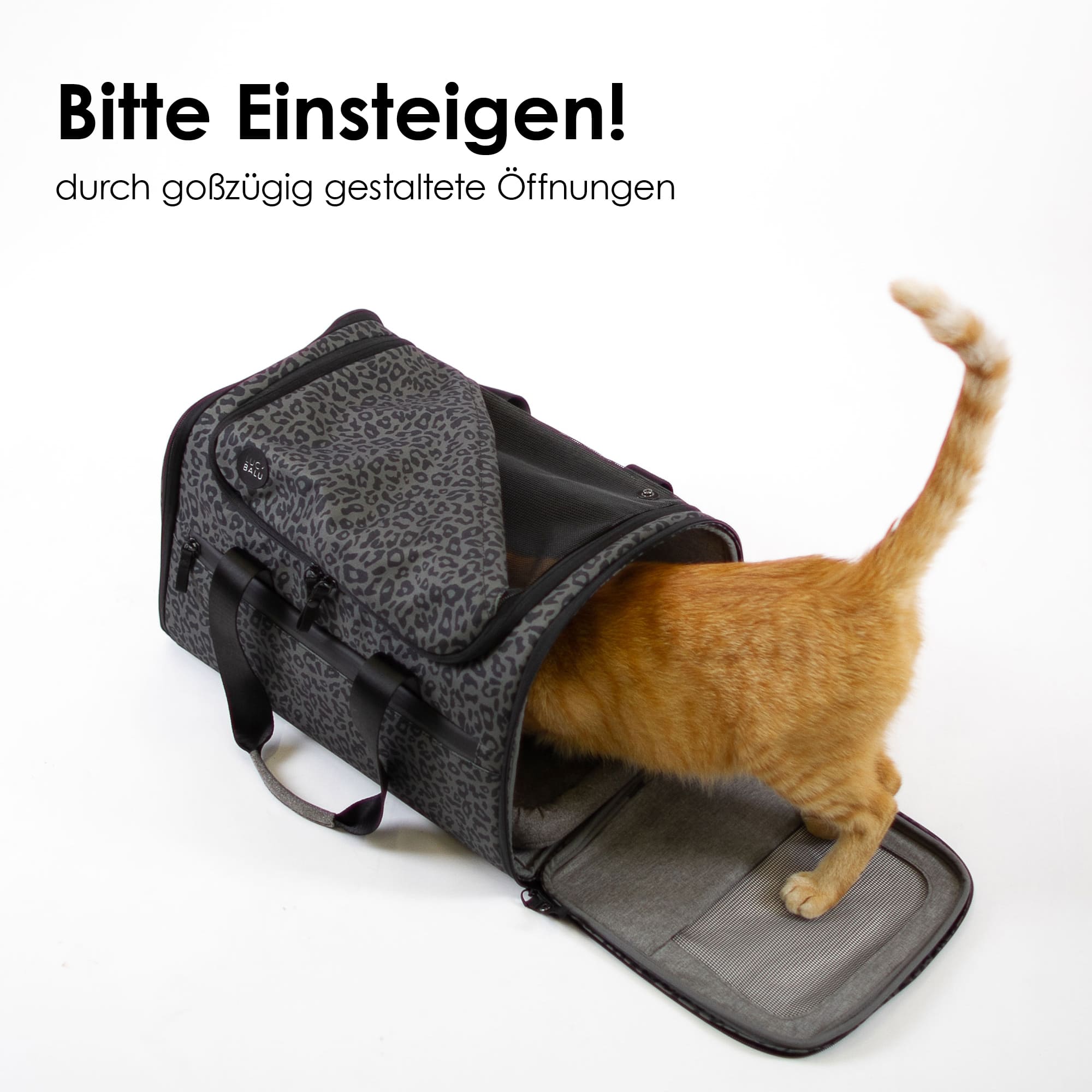 CHECK-IN Transporttasche im Leo-Print: Bitte einsteigen! Große Öffnungen erleichtern das Einsteigen, rote Katze klettert hinein