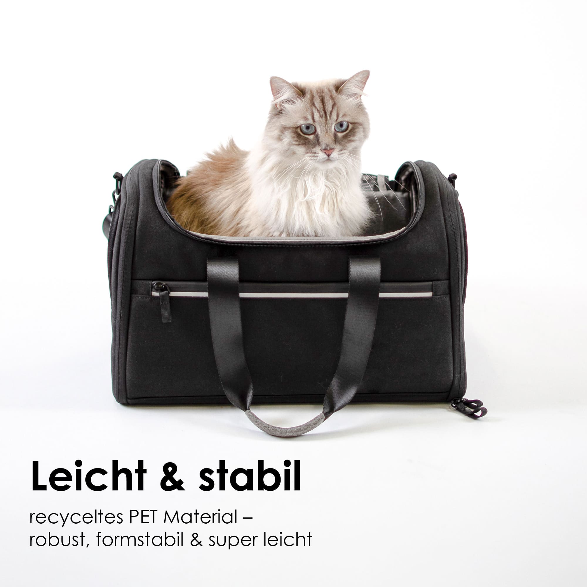 CHECK-IN Transporttasche in Schwarz: Leicht und stabil aus recyceltem PET-Material, Ragdoll-Katze sitzt darin