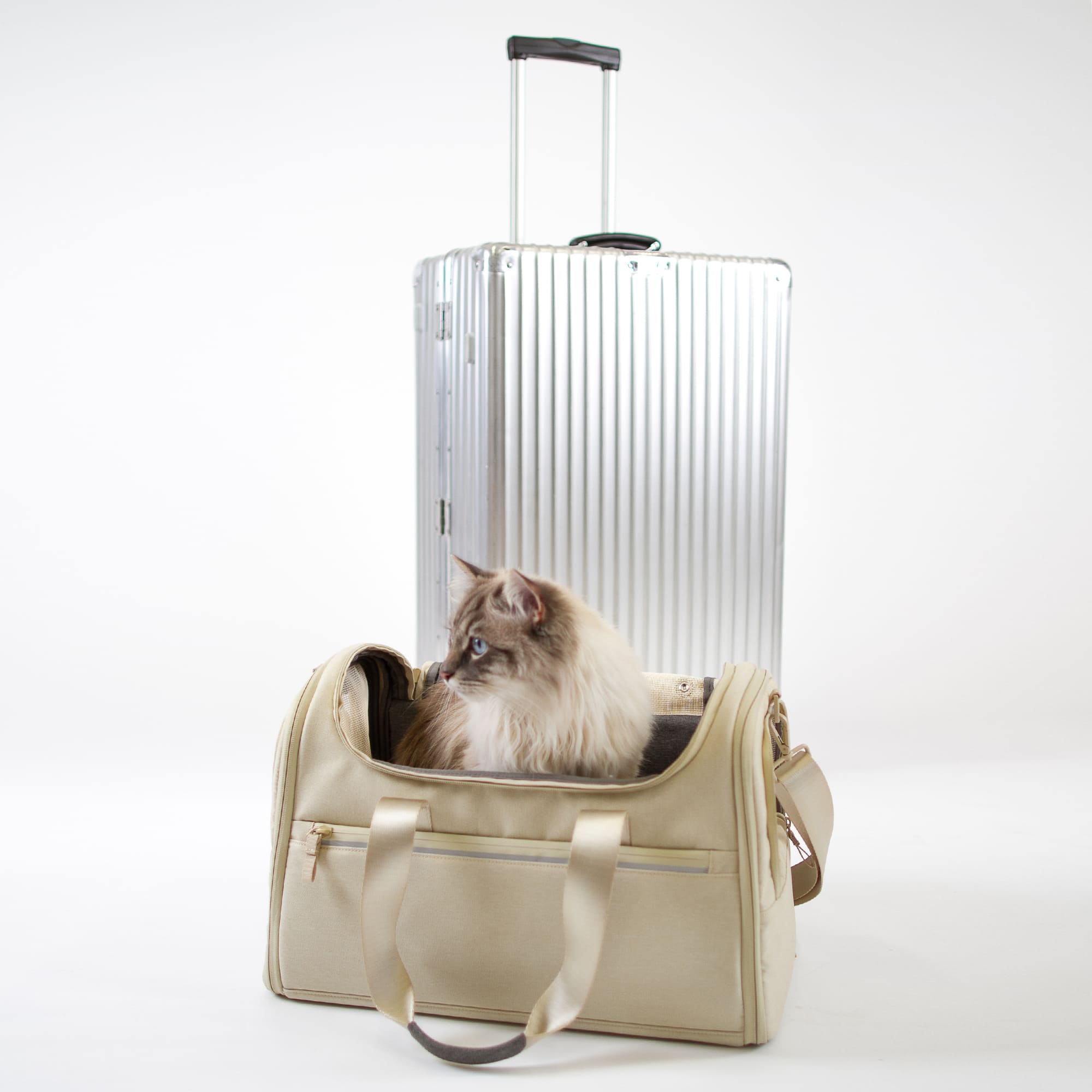 CHECK-IN Transporttasche in Sand vor Rimowa-Koffer, Ragdoll-Katze sitzt darin