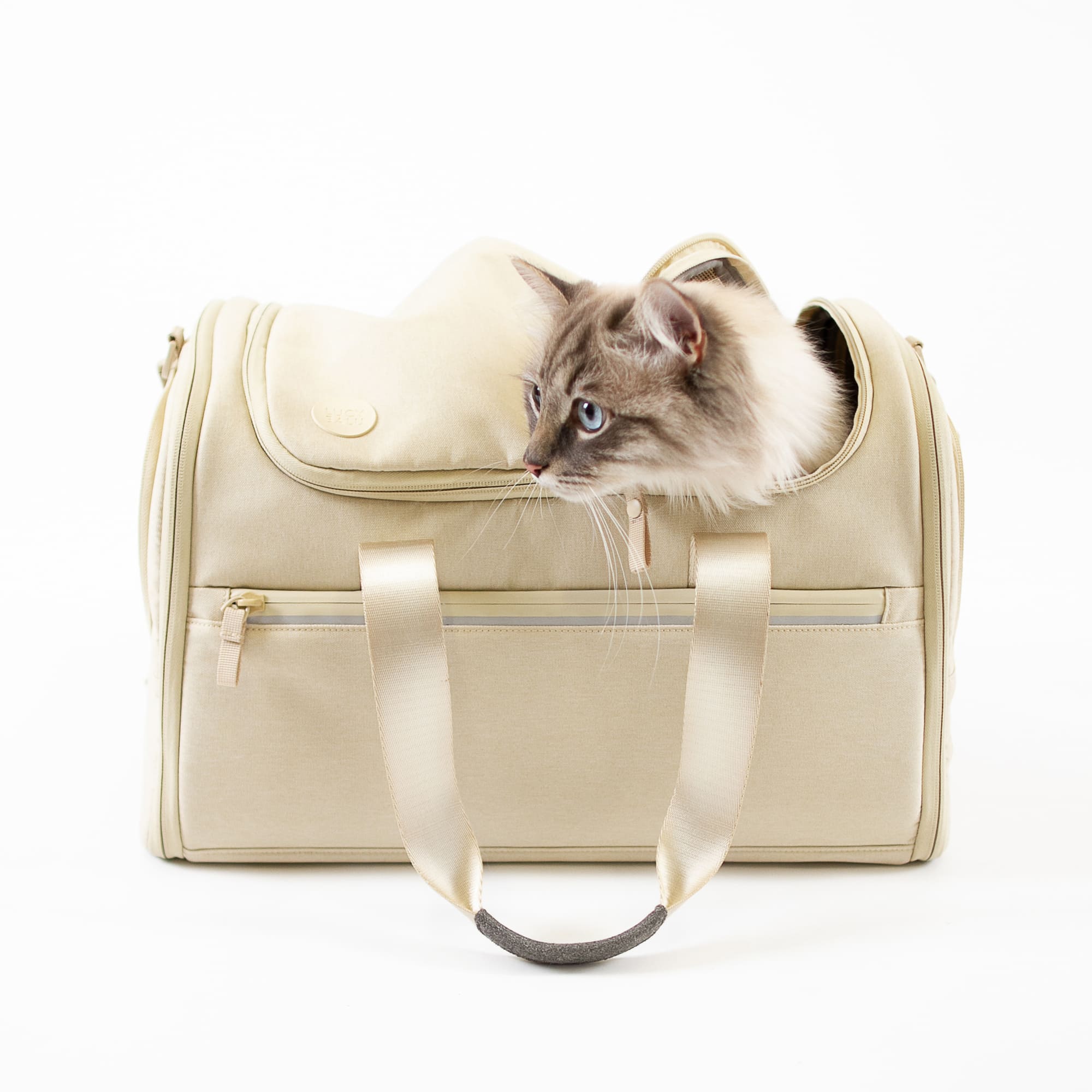 CHECK-IN Transporttasche in Sand, Ragdoll-Katze schaut heraus, Studioaufnahme
