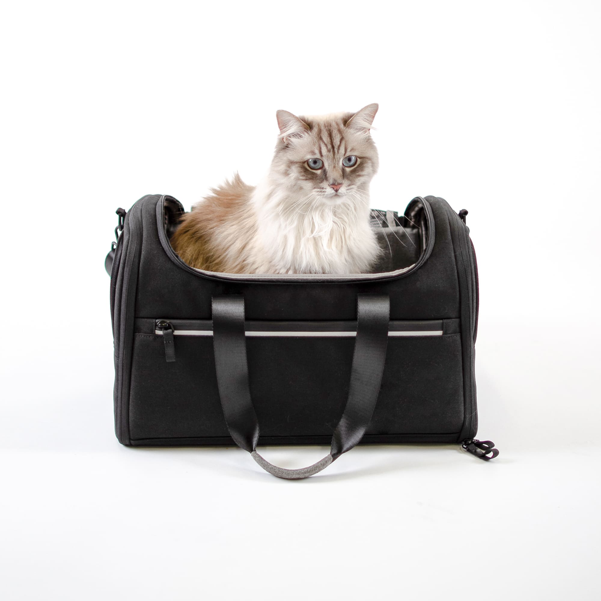 CHECK-IN Transporttasche in Anthrazit, Ragdoll-Katze sitzt darin, Studioaufnahme