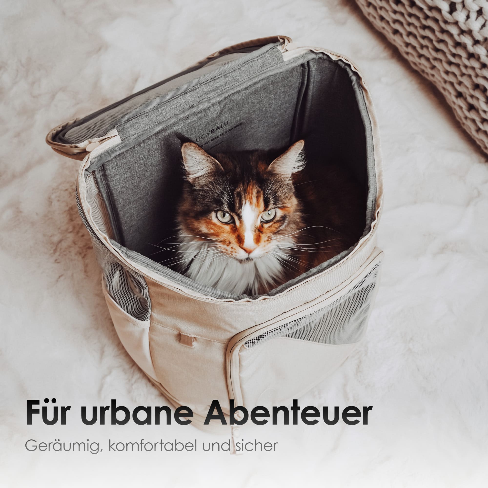 HOP-ON Katzenrucksack in Sand: Für urbane Abenteuer, geräumig und sicher, Katze schaut aus der Öffnung