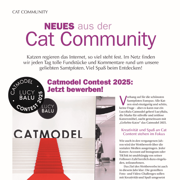 Geliebte Katze – Annonce Catmodel – Mai 2025