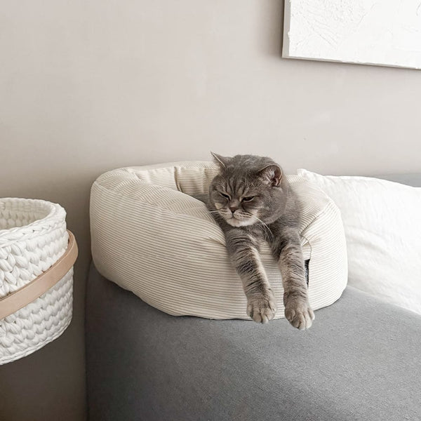 Vacances avec ton chat ? Ou plutôt sans ? – Comment bien planifier