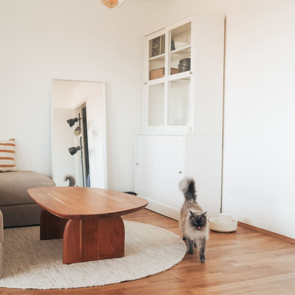 Chats et chaleur : comment ton chat d'appartement reste cool en été
