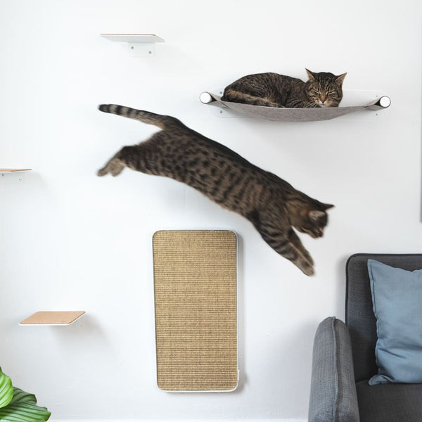 Un logement sécurisé pour chats : identifier et éviter les dangers