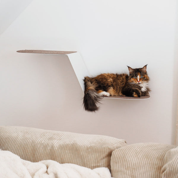 Der Hauseigentümer – Mur pour chats – Nov 2025