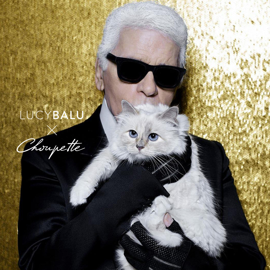 LucyBalu x Choupette