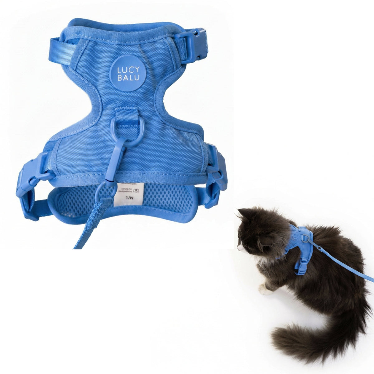 EXPLORER harnais pour chat