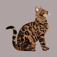 Bengal