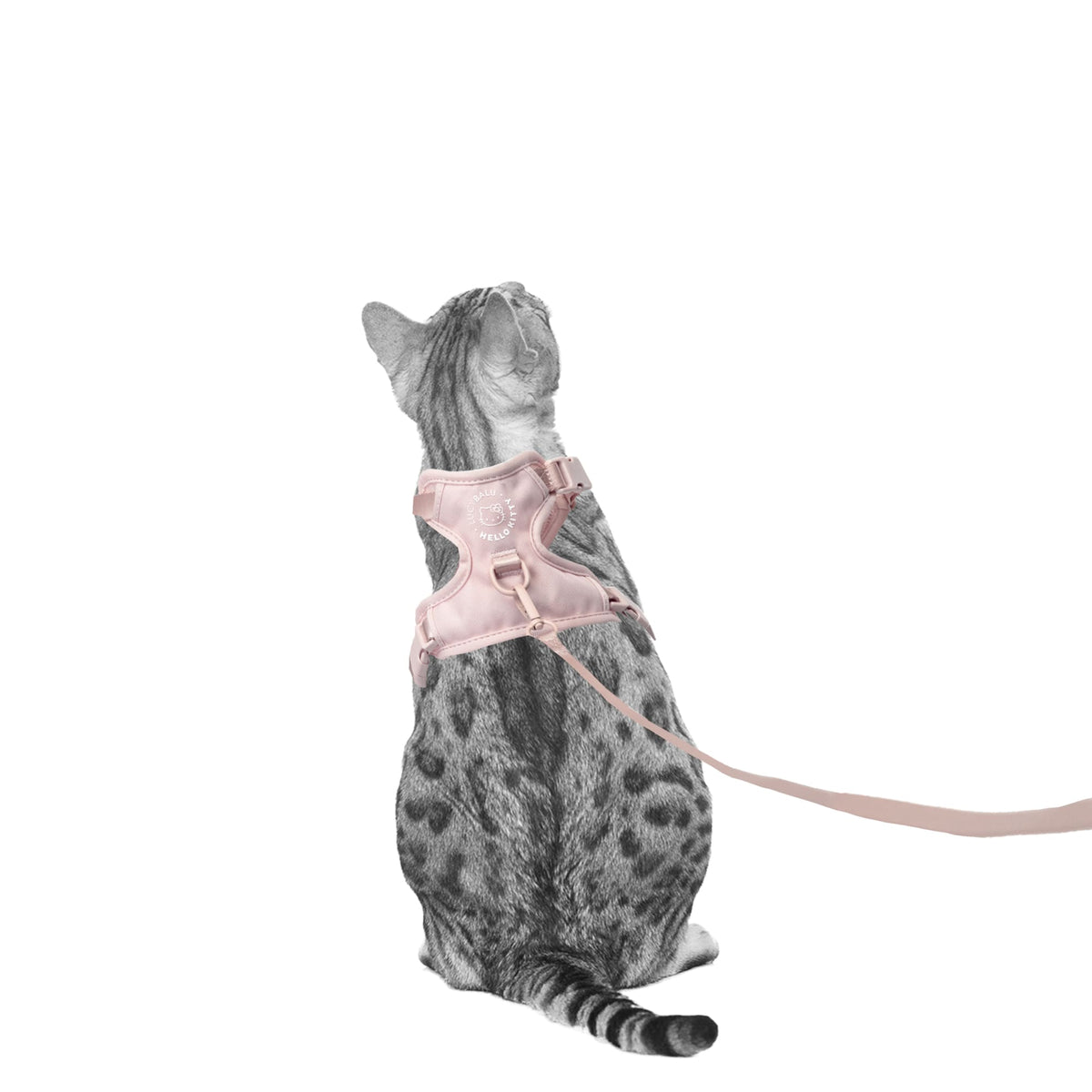 Geschirr Katze Hello Kitty X LucyBalu