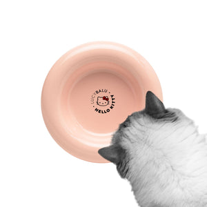 DROP Katzennapf