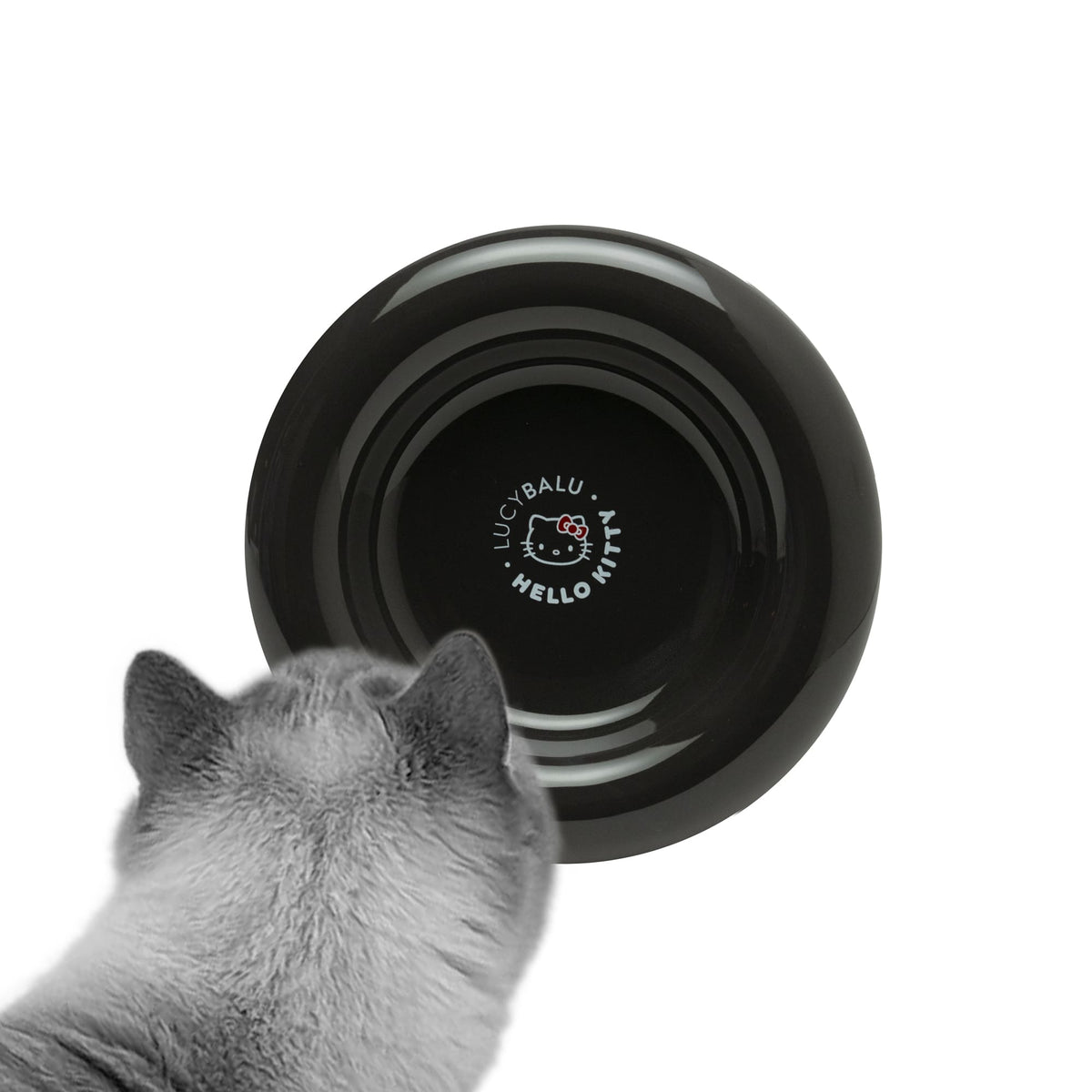 DROP Katzennapf