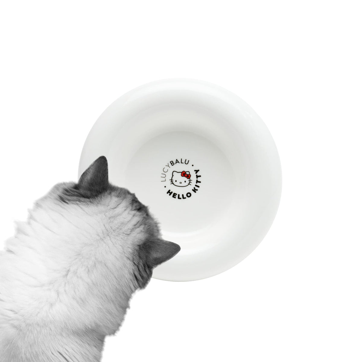 DROP Katzennapf