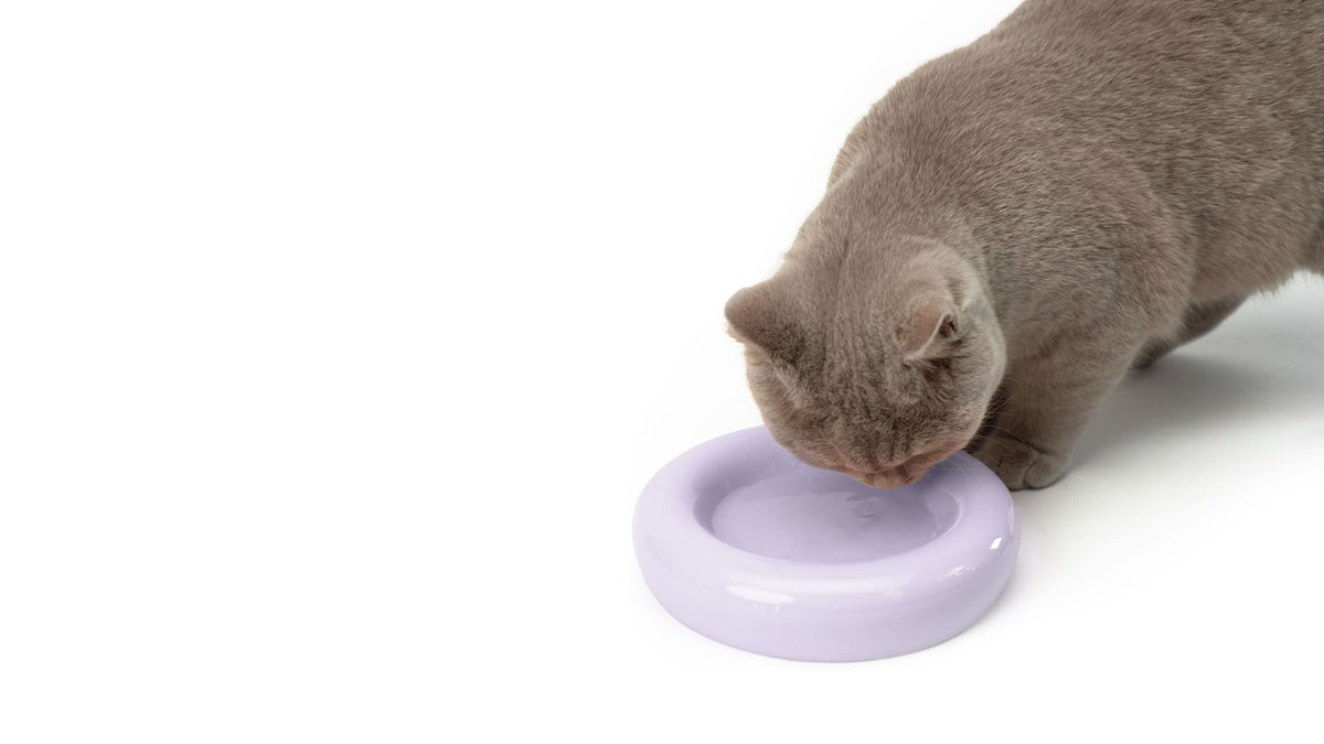 DROP Katzennapf
