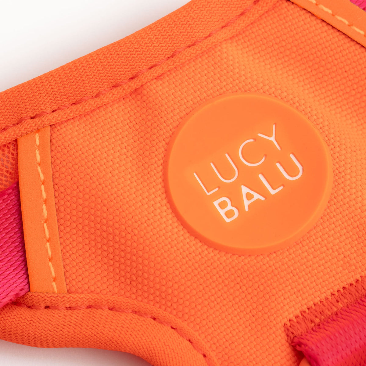 LucyBalu Geschirr Katze Orange Lilac Detail
