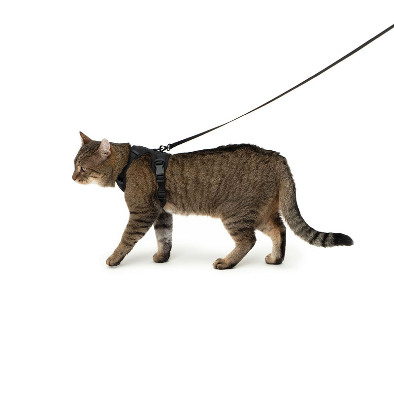 EXPLORER Katzengeschirr