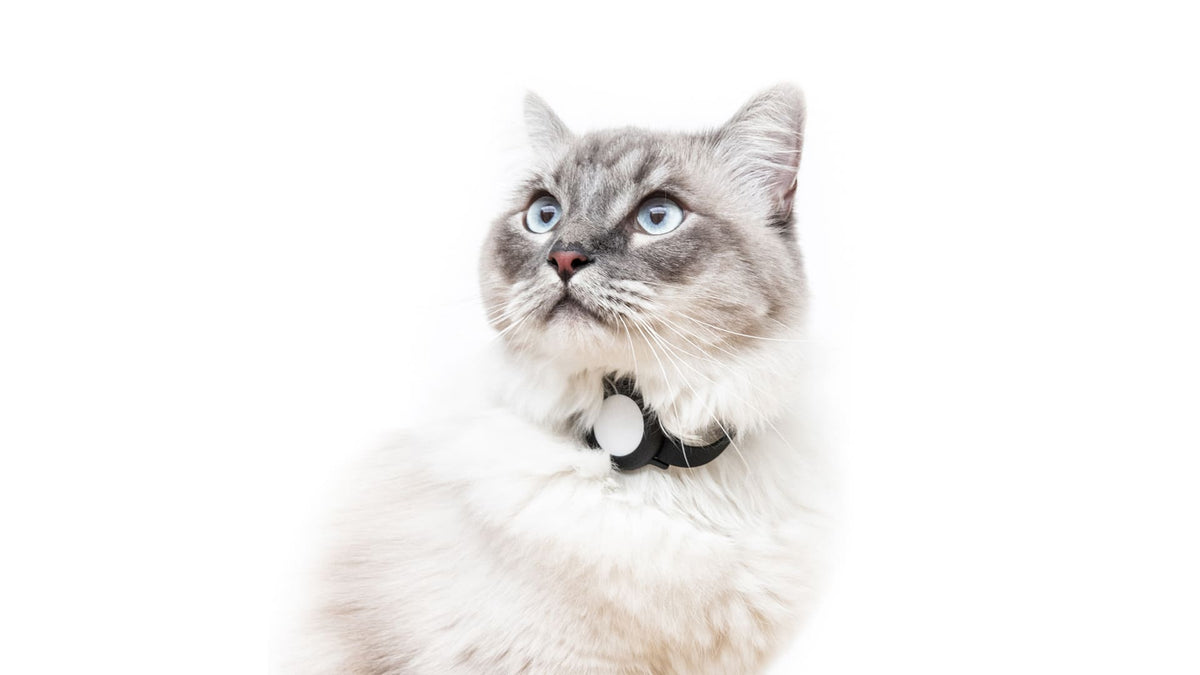 NEMO Kattenhalsband voor de AirTag