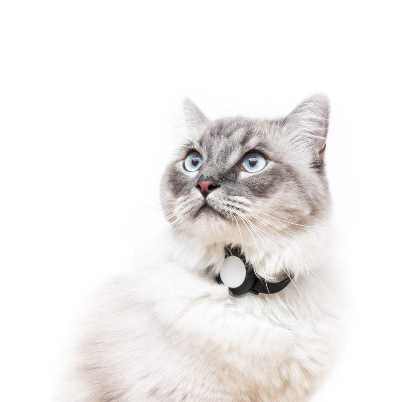 NEMO Kattenhalsband voor de AirTag