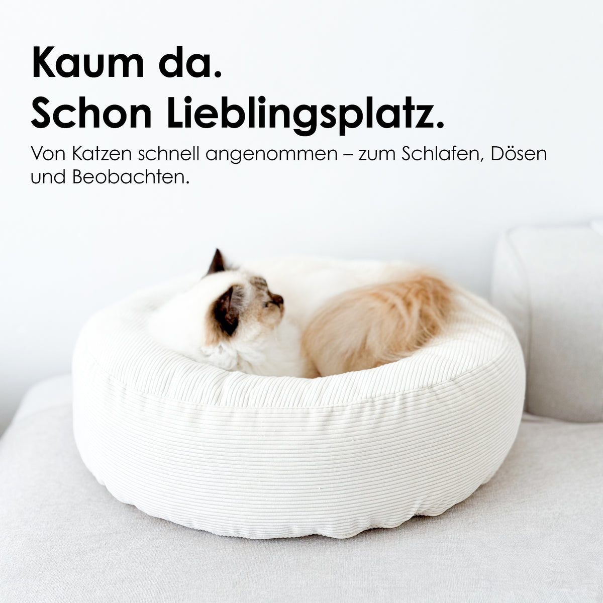 NEST Katzenbett