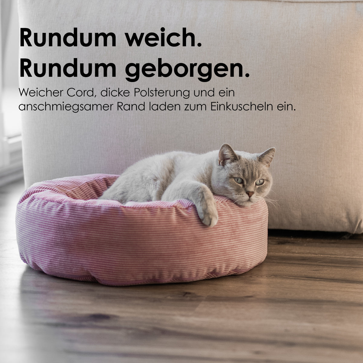 NEST Katzenbett