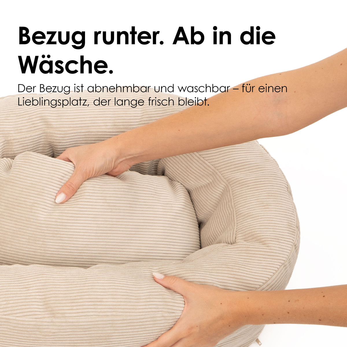NEST Katzenbett