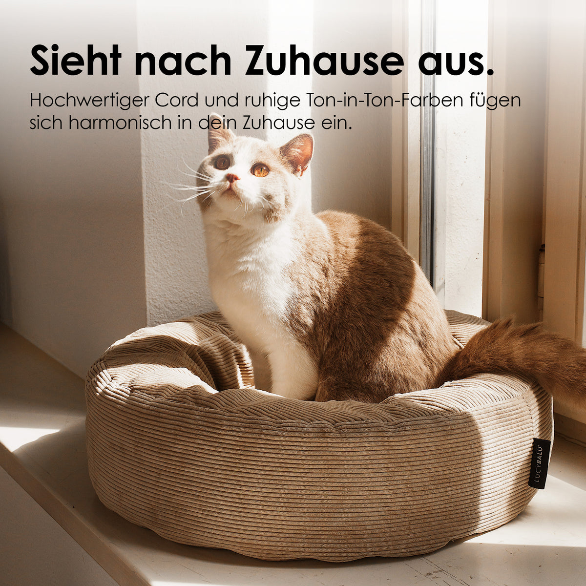 NEST Katzenbett
