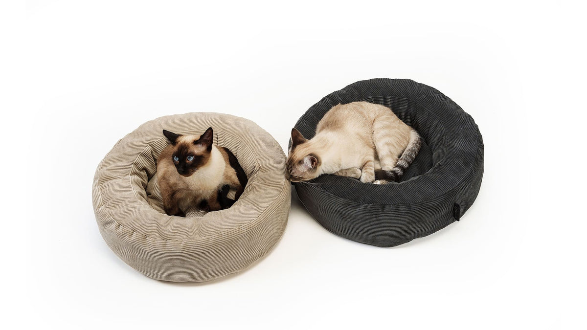 NEST Katzenbett