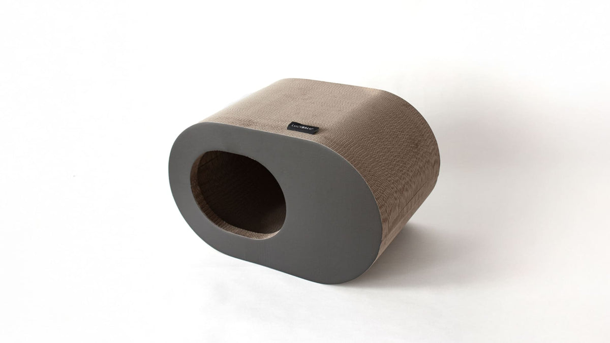 PAPERCAVE kattengrot
