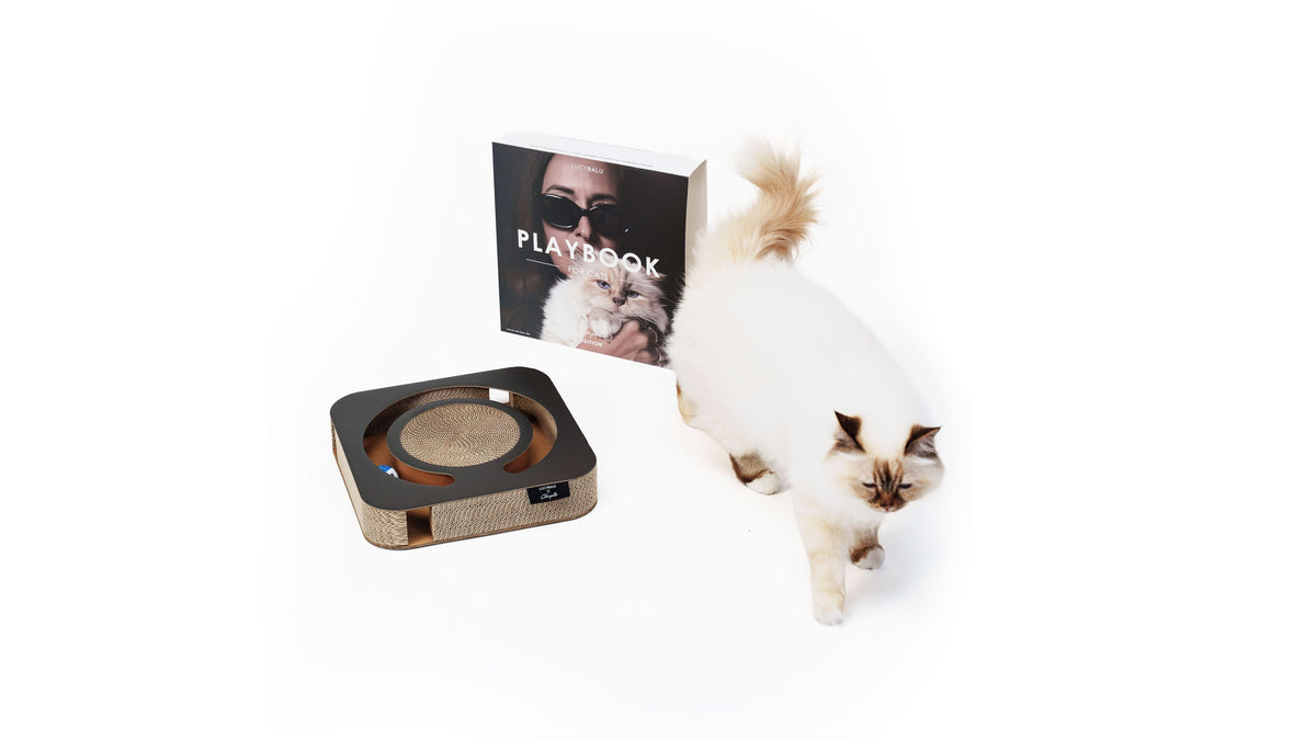 PLAYBOOK Jouet interactif | Édition Choupette