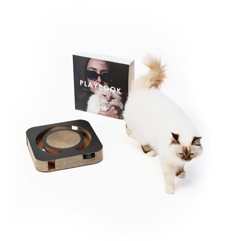 PLAYBOOK Jouet interactif | Édition Choupette