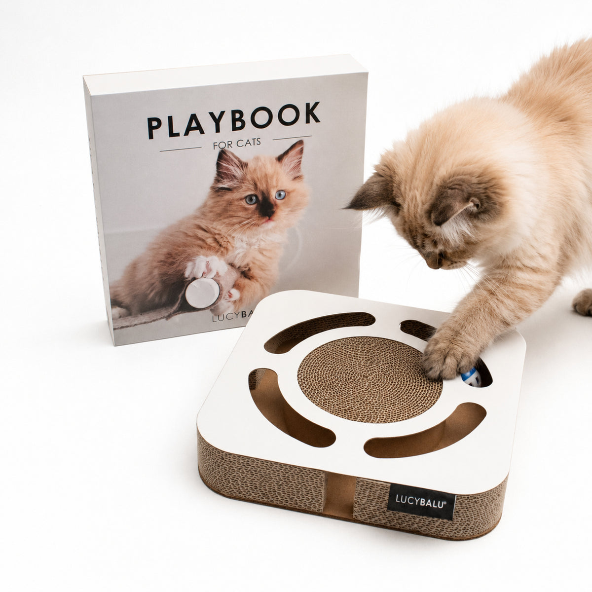 PLAYBOOK Interaktives Spielzeug