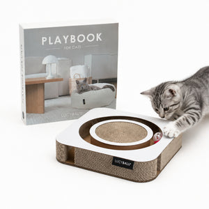 PLAYBOOK Interaktives Spielzeug