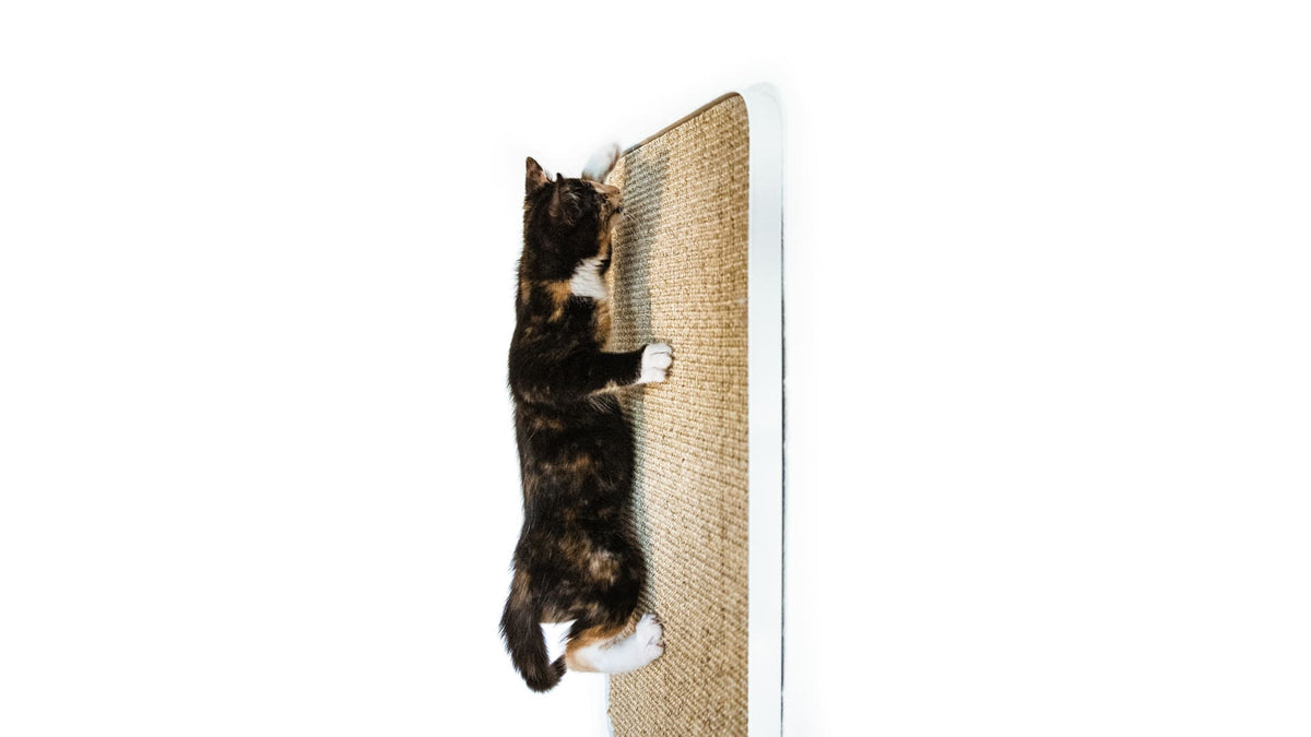 SCRATCHPAD Krabplank voor aan de muur