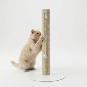SCRATCHPOLE Kratzstamm in Sisal Sand – Katze kratzt daran