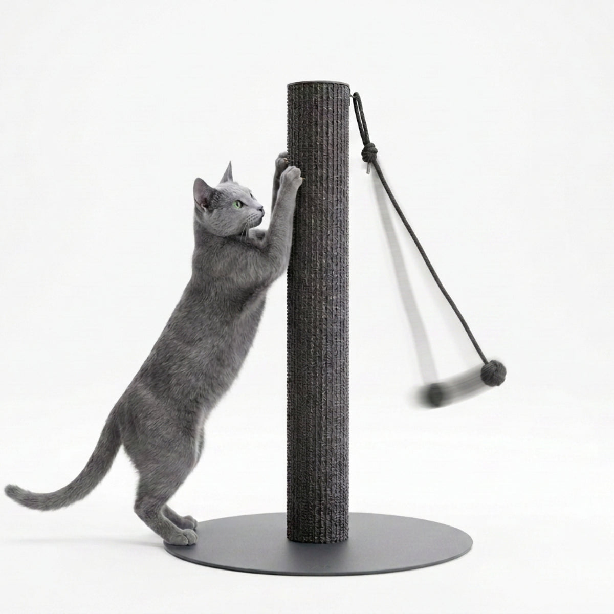 SCRATCHPOLE Kratzstamm in Sisal Anthrazit – Katze kratzt daran, Knot Ball schwingt
