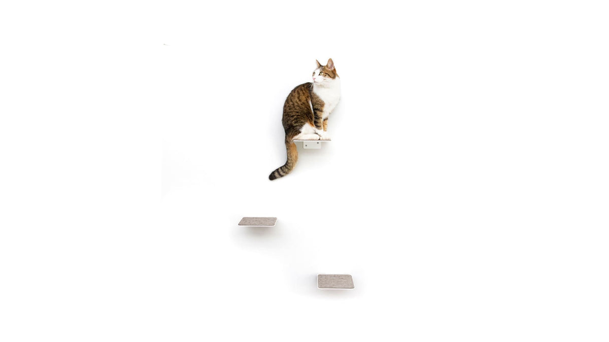 STEPS Kattentrappen