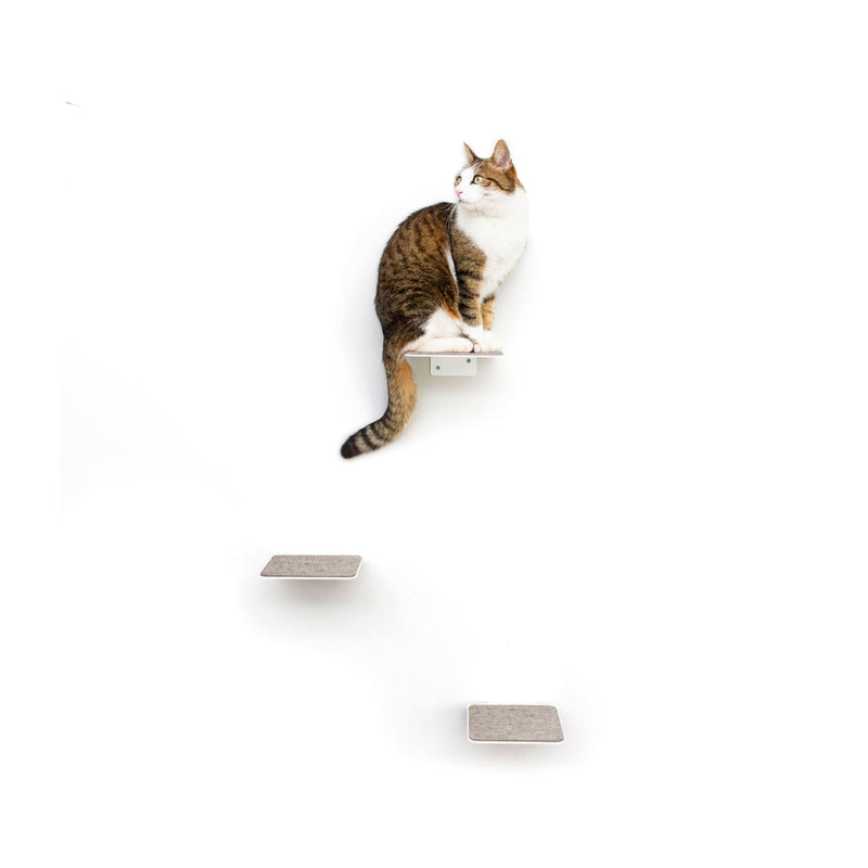 STEPS Kattentrappen