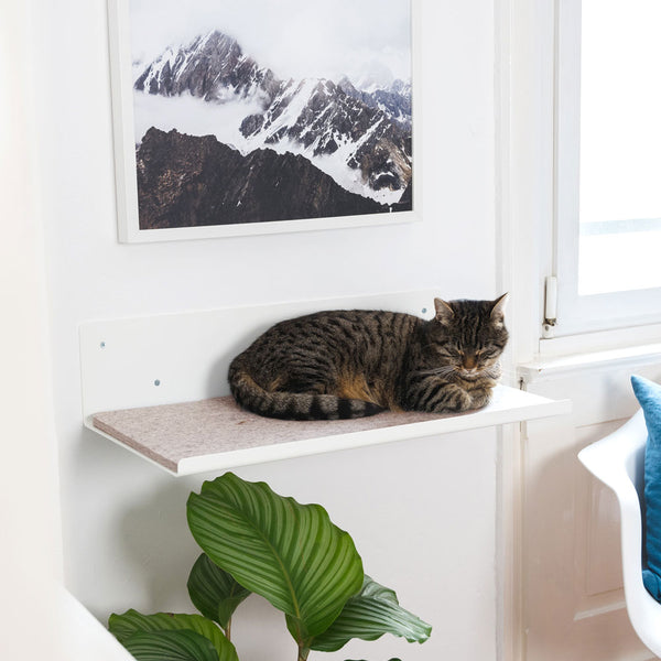 STRAIGHT Wandliege in Weiß mit Sand Filzauflage – Katze schläft an der Wand neben Bergbild.