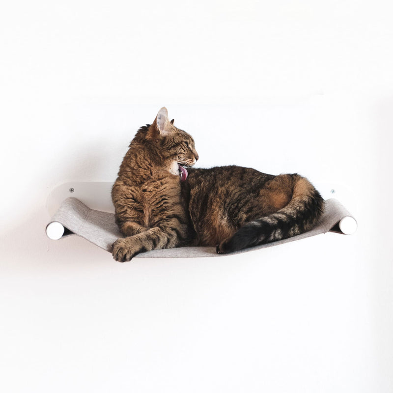 SWING Kattenhangmat voor de muur