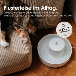 TREVI Trinkbrunnen – flüsterleise im Alltag dank geräuscharmer Pumpe unter 35 dB