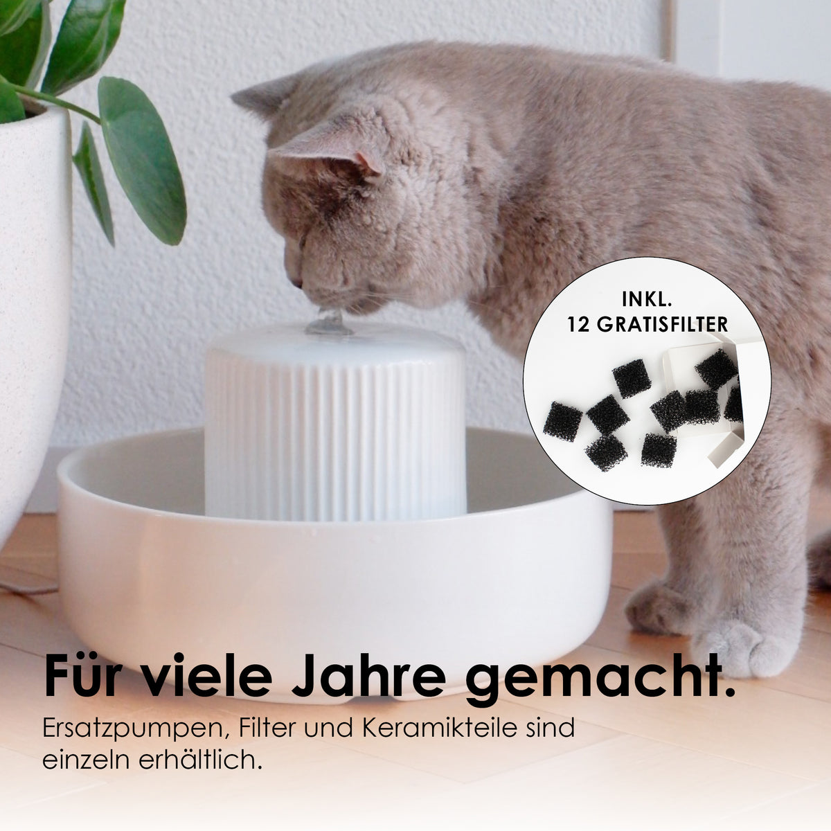 Katze trinkt am TREVI Trinkbrunnen mit 12 Gratisfiltern – für viele Jahre gemacht