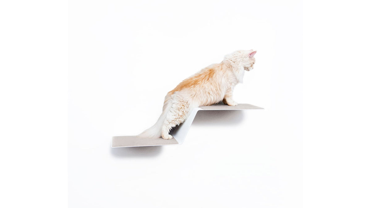 WAVE Cat step XXL