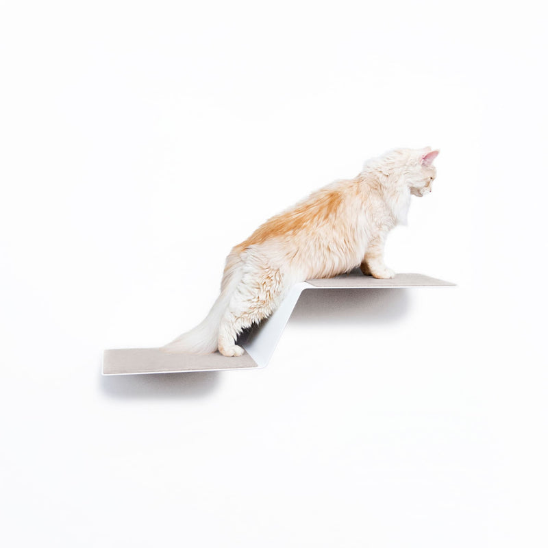 WAVE Cat step XXL