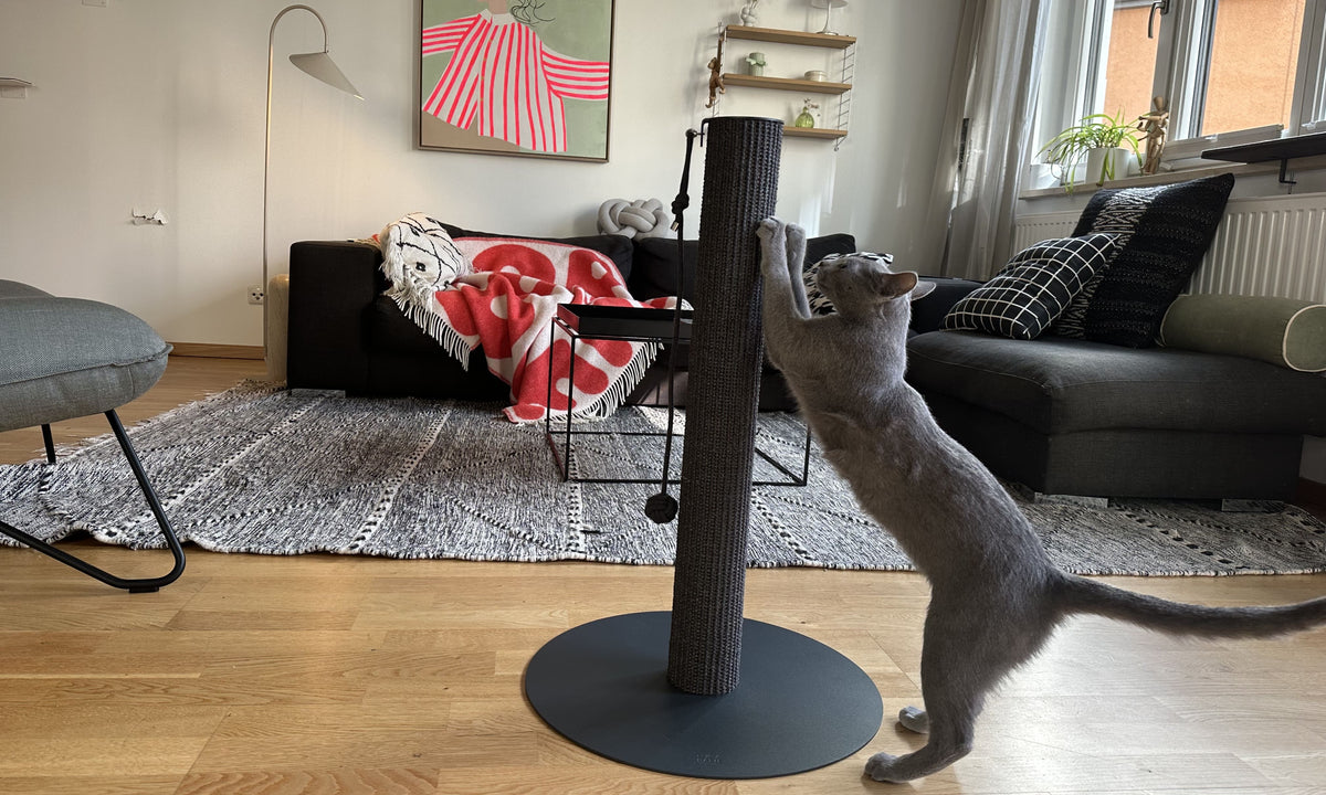 SCRATCHPOLE Kratzstamm