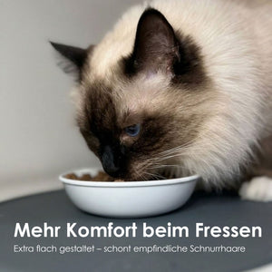BOWL Melamine Kattenbakje | Set van 2
