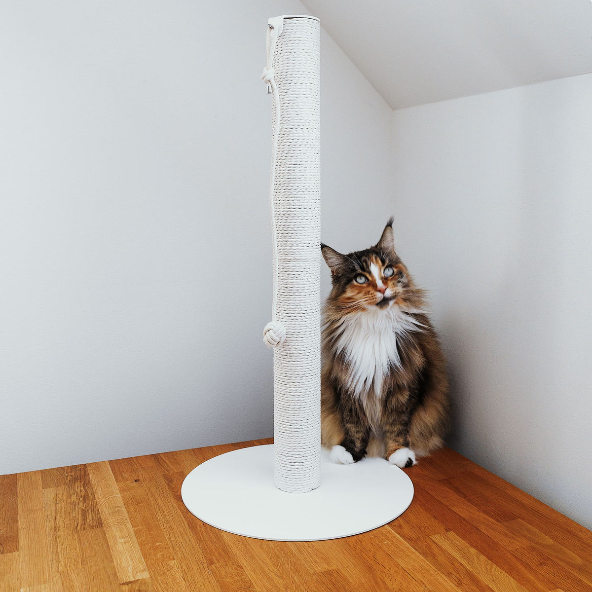 design lucybalu katzen kratz stamm kratzsaeule weiß