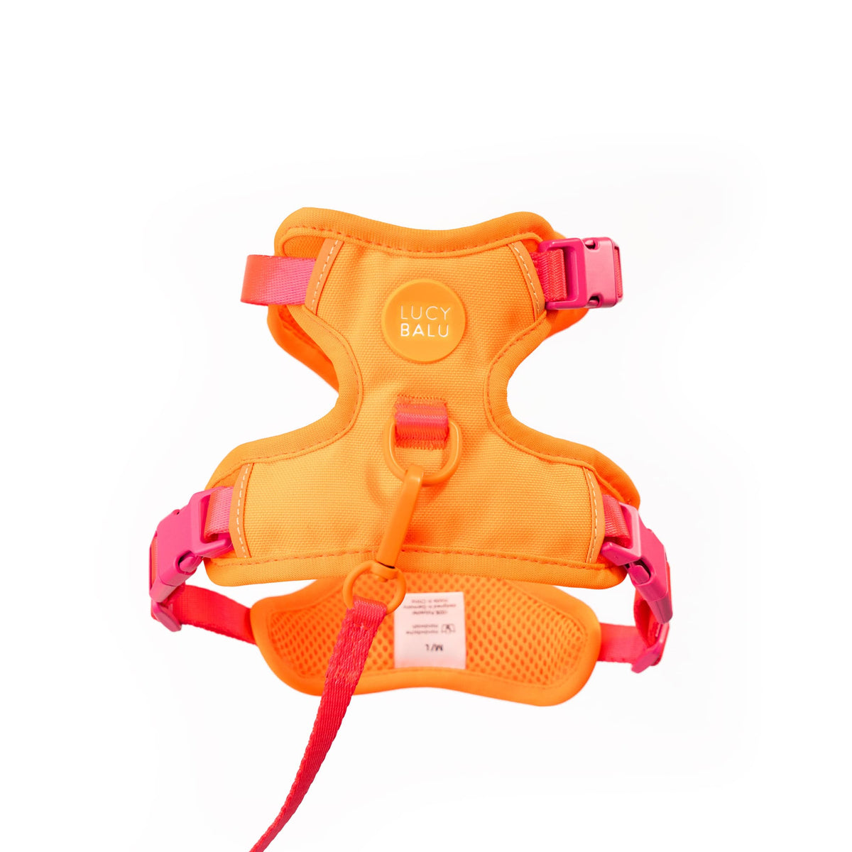 Geschirr Katze Orange Lilac von LucyBalu