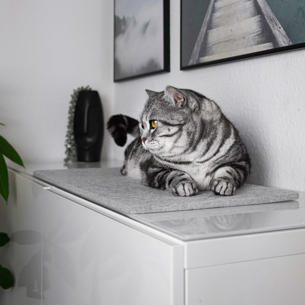 Un chat tigré allongé sur le revêtement de rebord de fenêtre FELTY gris en feutre de laine sur un buffet